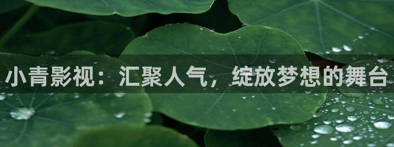 奇优影视手机版免费版下载