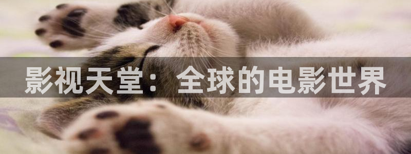 奇优影视网页