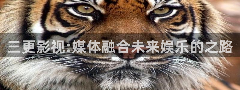 在线免费观看奇优影院