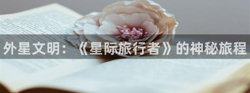 年轻的护士4奇优影院