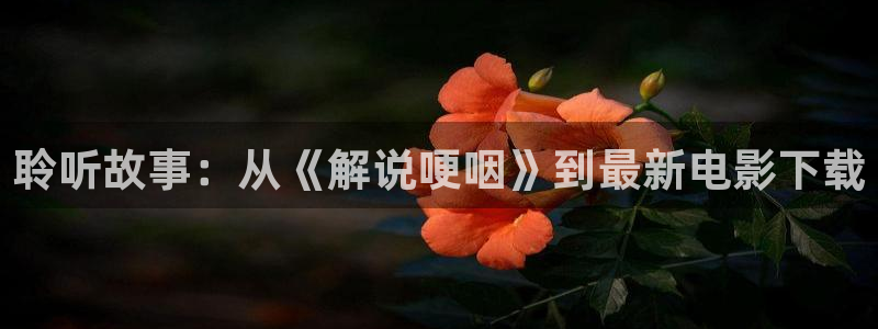 奇优影院手机版登录入口