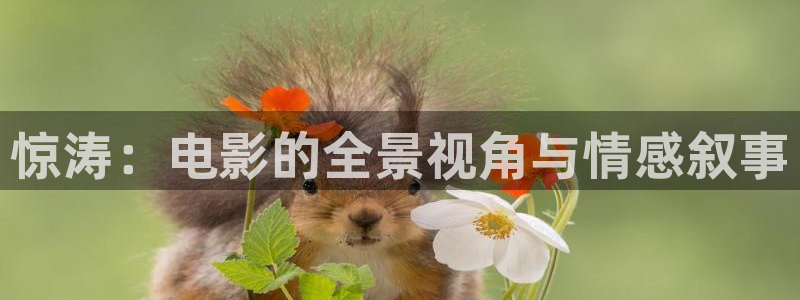 奇优影视好多福利呀