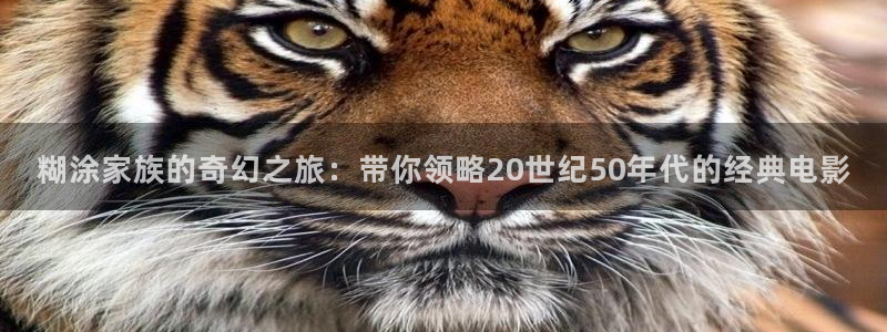 奇优影院在线免费观看手机版