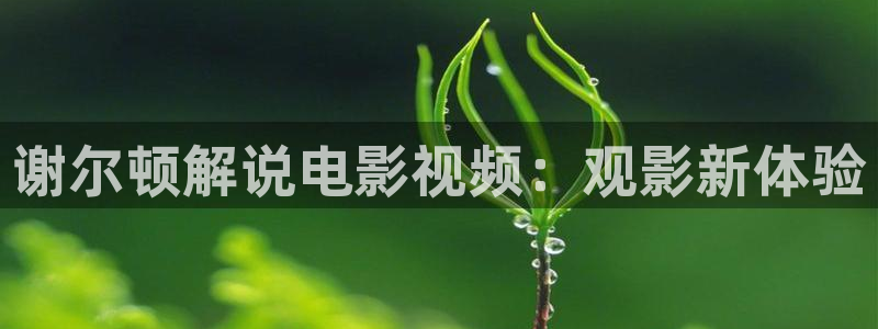 新闻图片