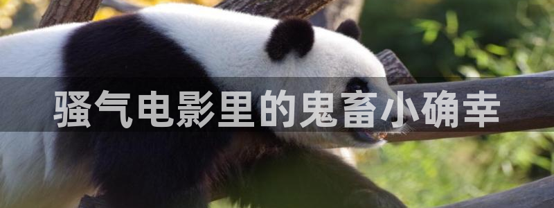 奇优影视手机版电视剧高清