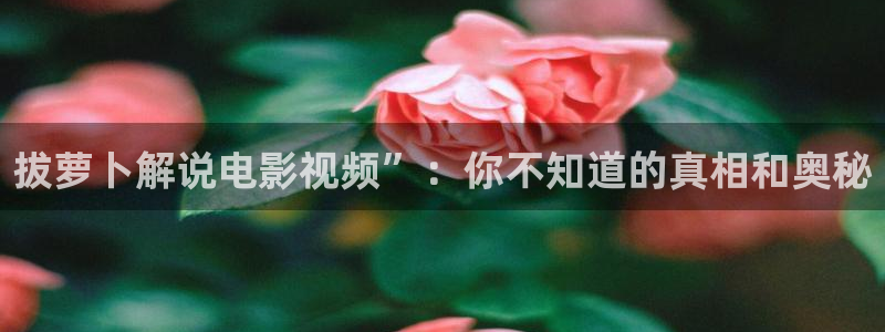 新闻图片